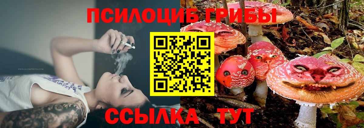 Сухой Лог  Галлюциногенные грибы GOLDEN TEACHER  Псилоцибиновые грибы Psilocybe  Вход с VPN 