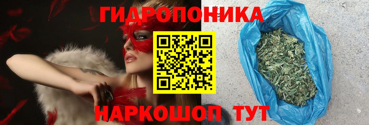 Каннабис OG Kush Сухой Лог